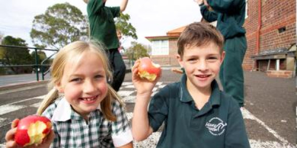 Supporting Schools to Eat Healthier